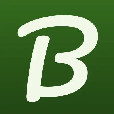 B.GIRLS STUDIO, сеть студий, лого-визитка