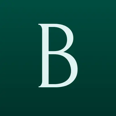 bagira smart, интеллектуальный центр, лого-визитка